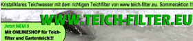 teich-banner-fertig
