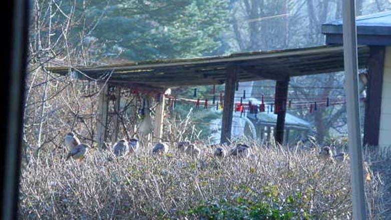 spatz11_A5a 2011.01.29. 14-55-27.JPG