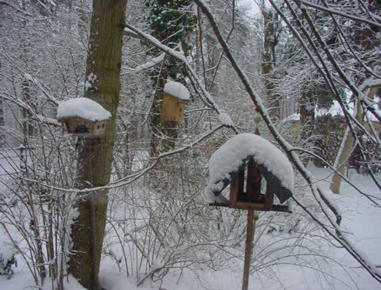 winter10_A2.JPG